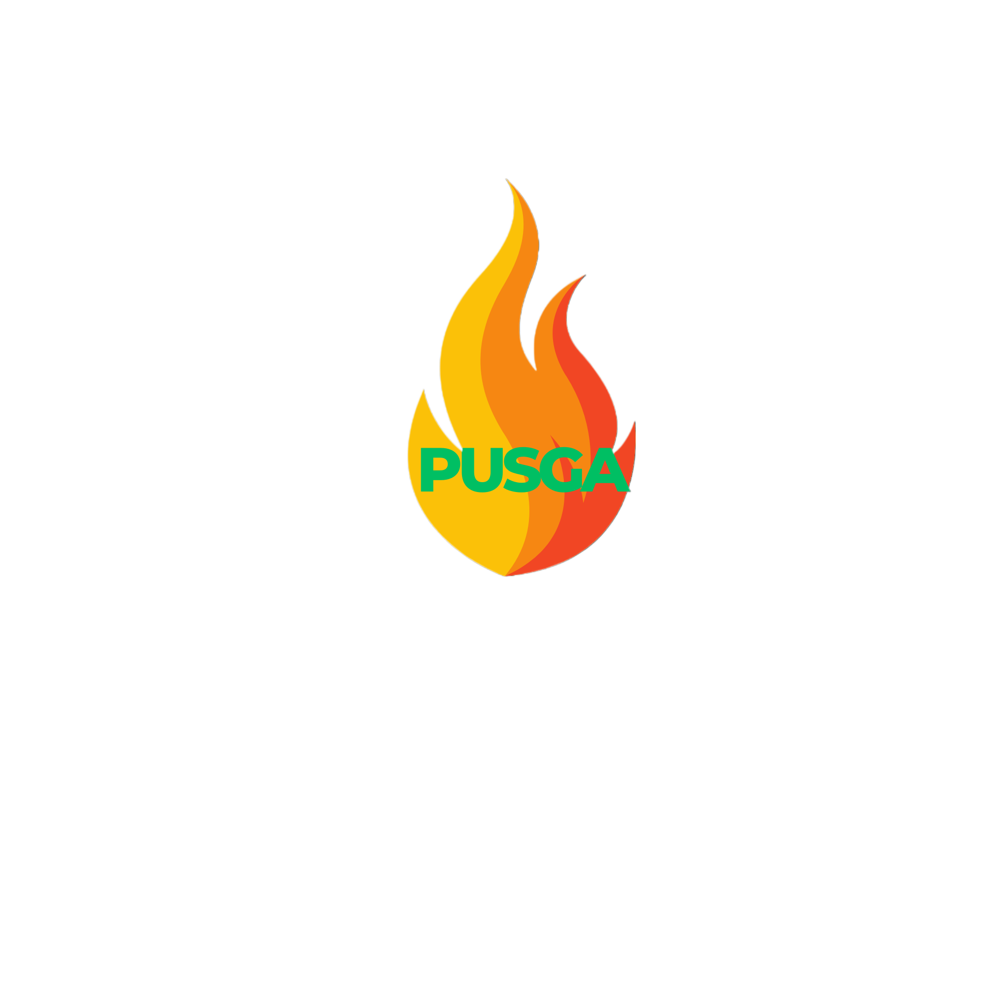 PusWeb logo